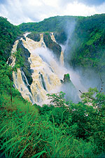 The beauty of the Barren Falls Kuranda